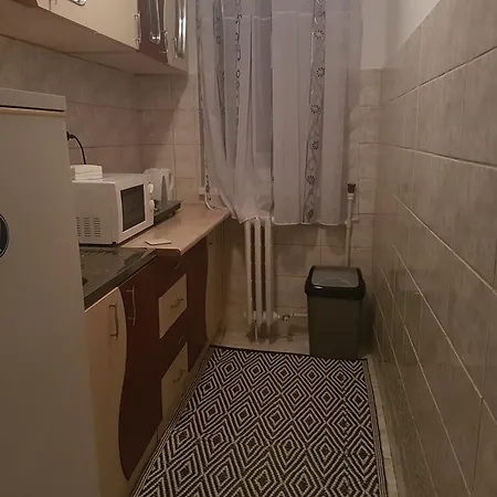 公寓 Apartament La Fely 康斯坦察